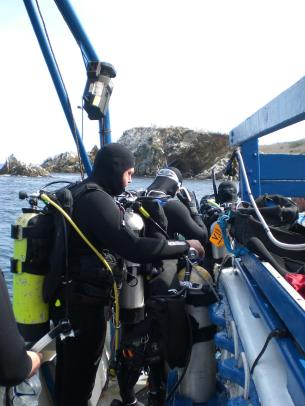 Getting ready for the dive